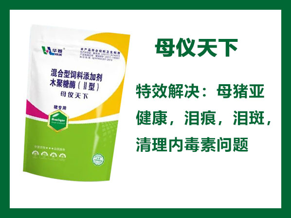 母儀天下---專業(yè)解決母豬亞健康問題